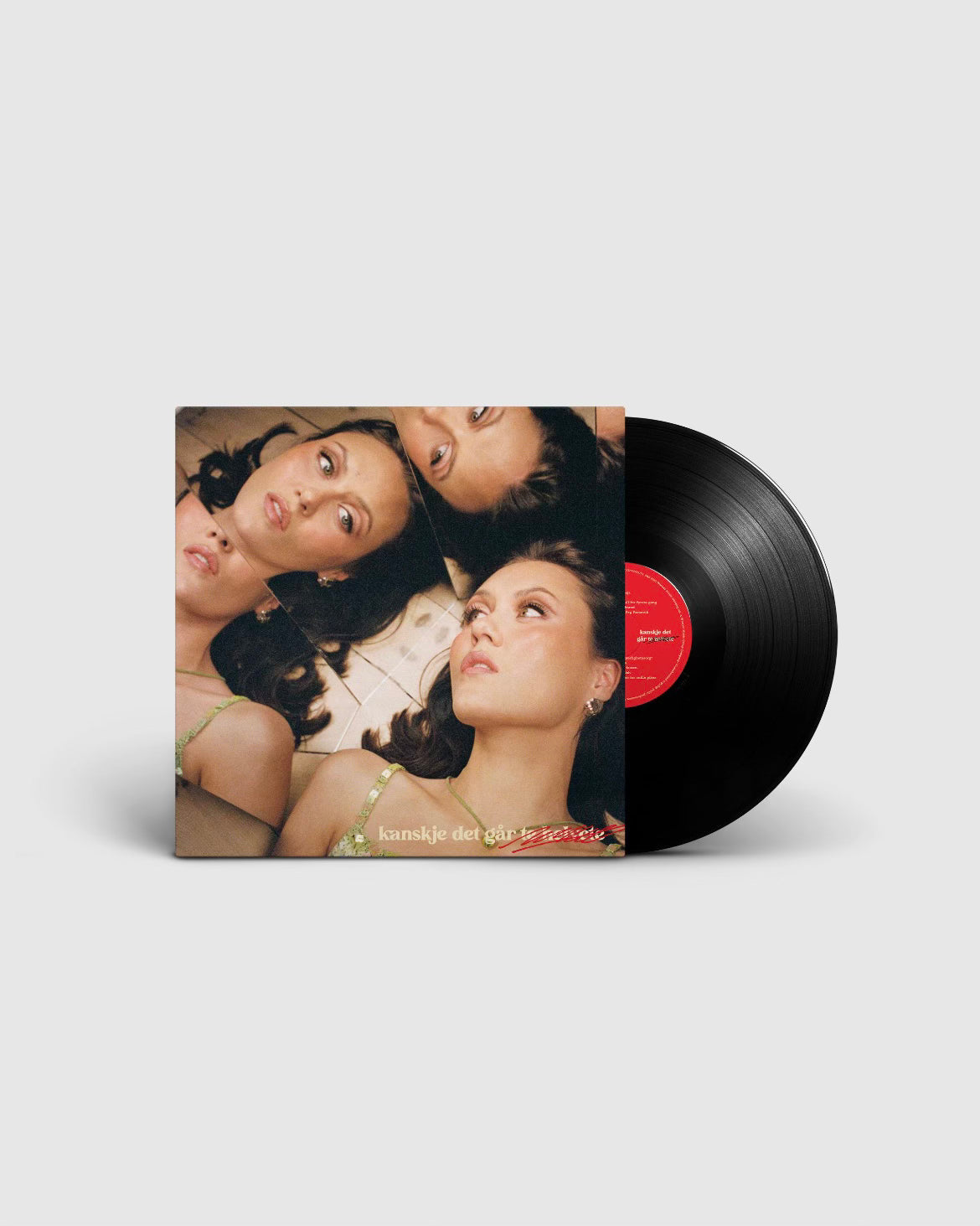 Kanskje det går te helvete signert Vinyl